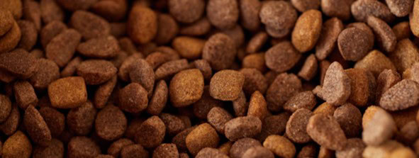 animaux-solidaires-croquettes-chat-zooplus